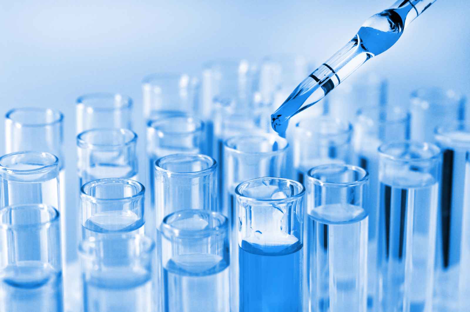How Does Biotech Farm Ltd. Support Pharmaceutical Research?